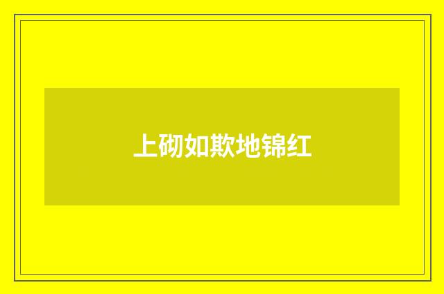 上砌如欺地锦红