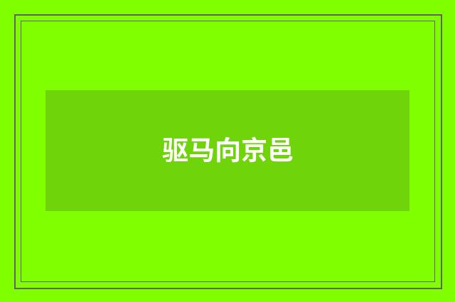 驱马向京邑