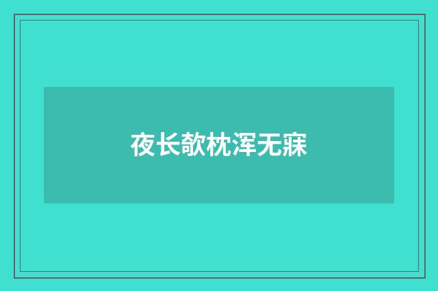 夜长欹枕浑无寐