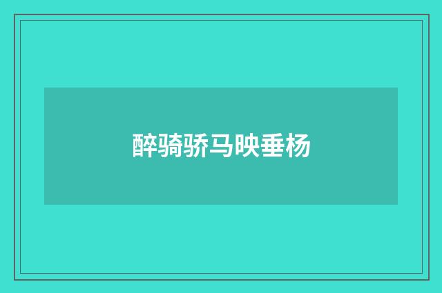 醉骑骄马映垂杨