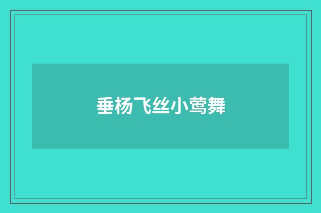 垂杨飞丝小莺舞