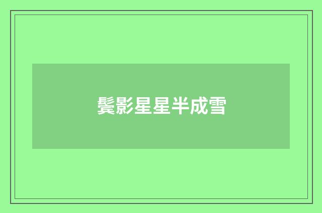 鬓影星星半成雪