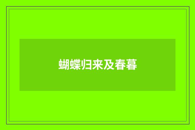 蝴蝶归来及春暮