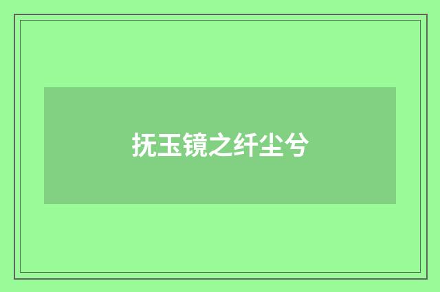 抚玉镜之纤尘兮