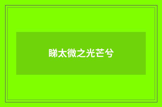 睇太微之光芒兮