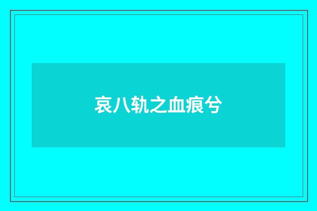 哀八轨之血痕兮