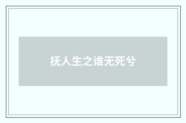 抚人生之谁无死兮