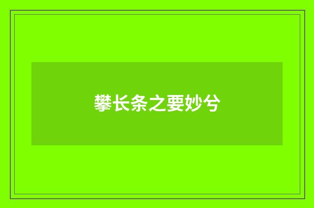 攀长条之要妙兮
