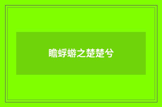瞻蜉蝣之楚楚兮