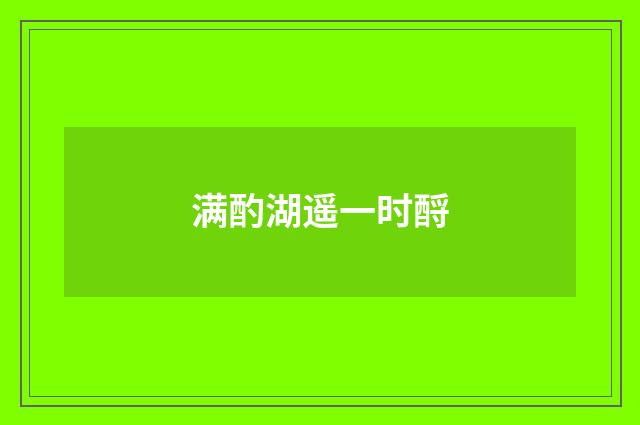 满酌湖遥一时酹