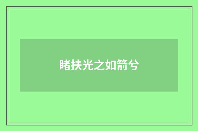 睹扶光之如箭兮