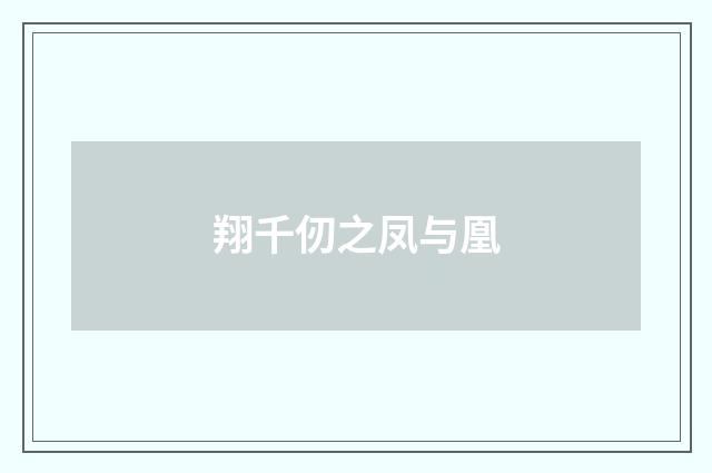 翔千仞之凤与凰