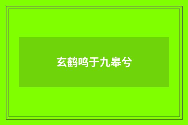 玄鹤鸣于九皋兮