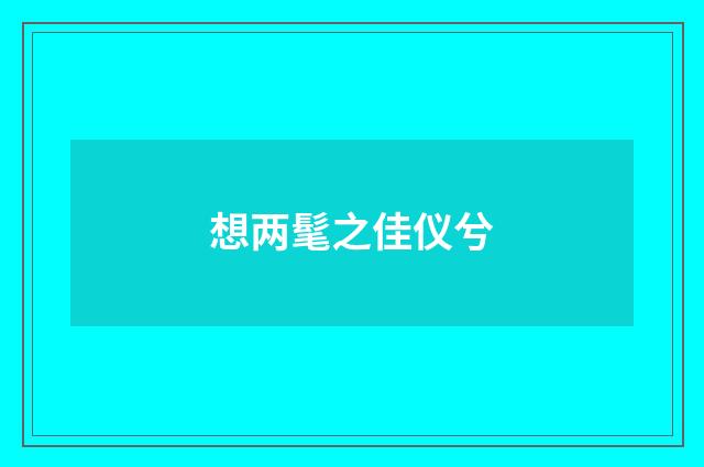 想两髦之佳仪兮