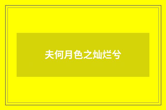 夫何月色之灿烂兮