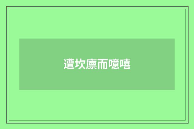 遭坎廪而噫嘻