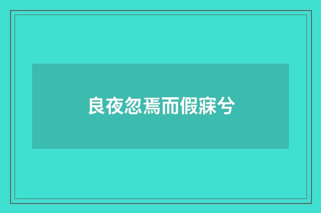良夜忽焉而假寐兮