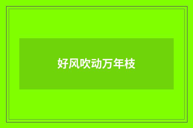 好风吹动万年枝