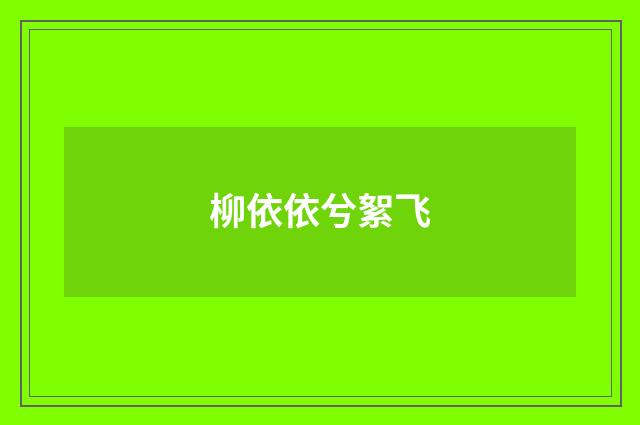 柳依依兮絮飞