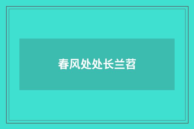 春风处处长兰苕