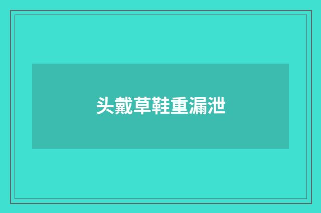 头戴草鞋重漏泄
