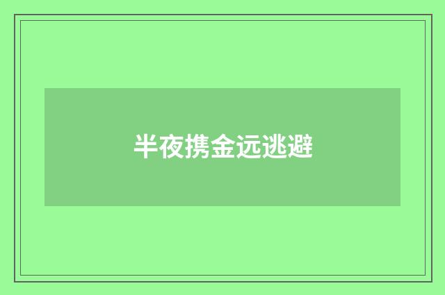 半夜携金远逃避