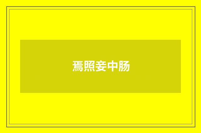 焉照妾中肠