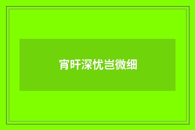 宵旰深忧岂微细
