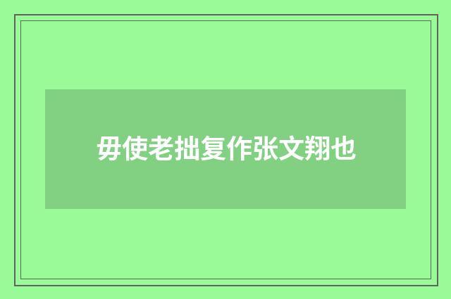 毋使老拙复作张文翔也