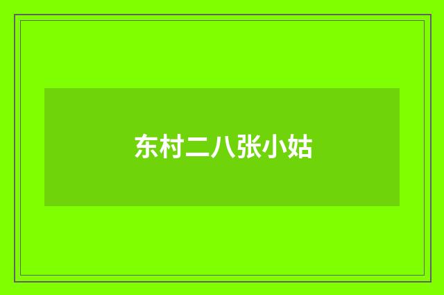 东村二八张小姑