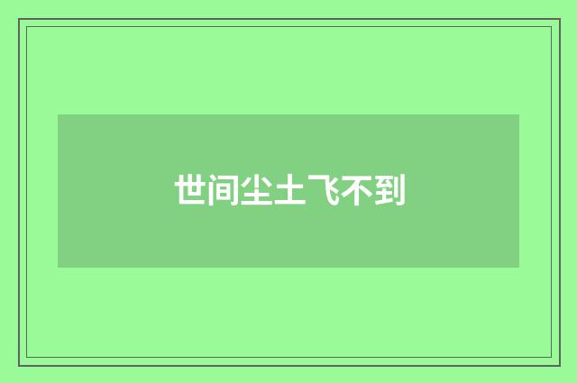 世间尘土飞不到