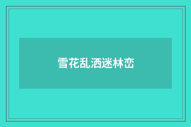 雪花乱洒迷林峦