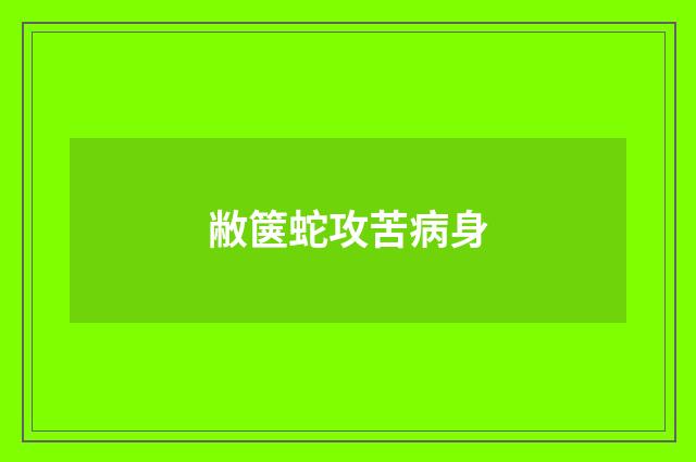 敝箧蛇攻苦病身