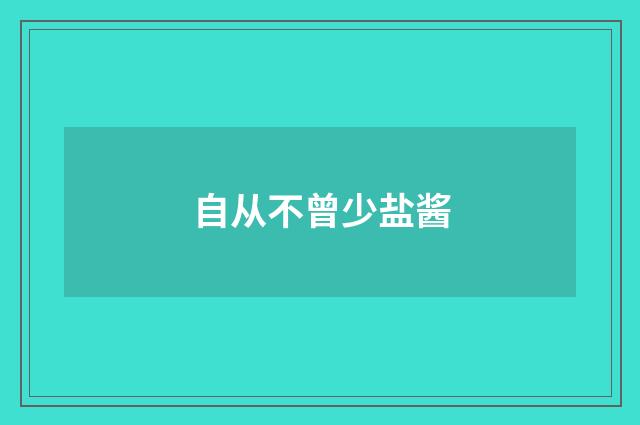 自从不曾少盐酱