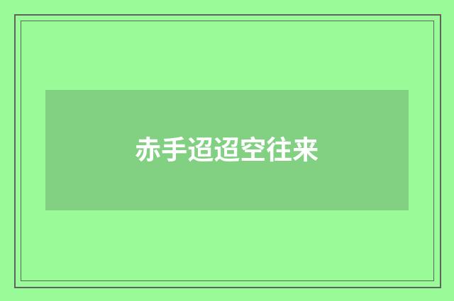 赤手迢迢空往来