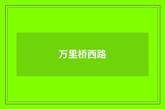 万里桥西路