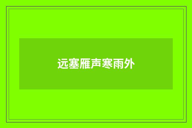 远塞雁声寒雨外