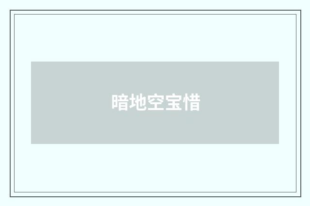 暗地空宝惜