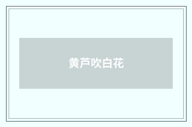 黄芦吹白花