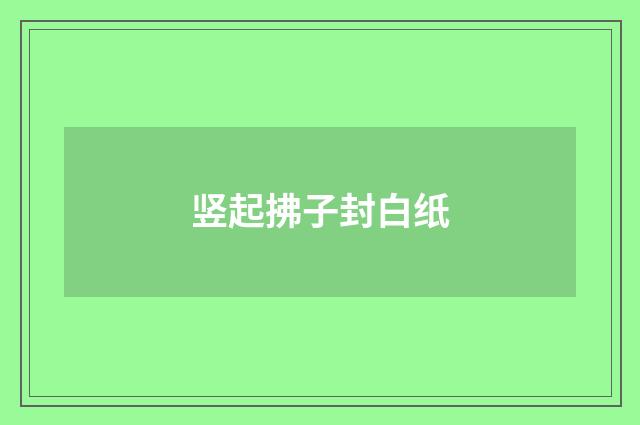 竖起拂子封白纸