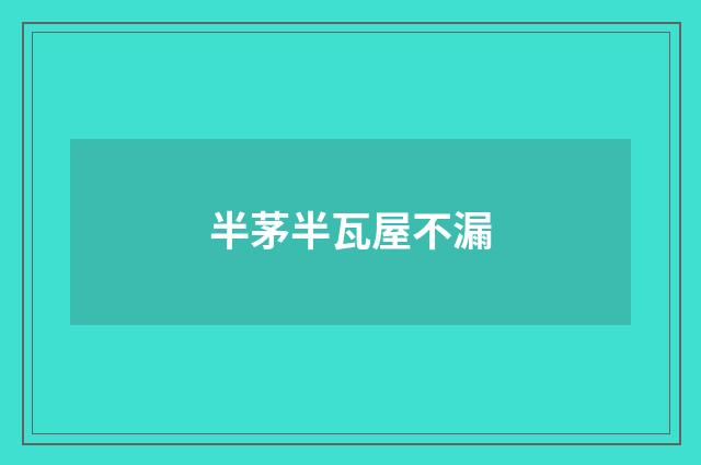 半茅半瓦屋不漏