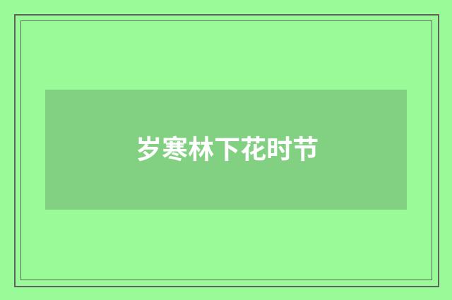 岁寒林下花时节