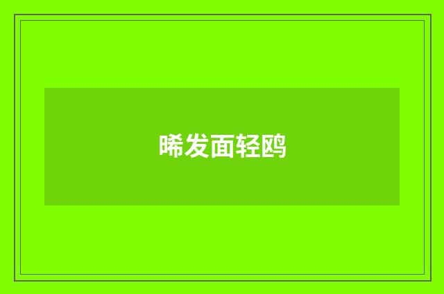 晞发面轻鸥