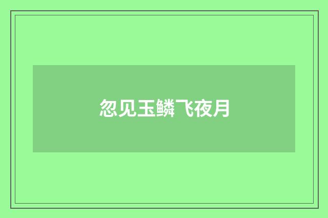 忽见玉鳞飞夜月