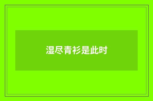 湿尽青衫是此时
