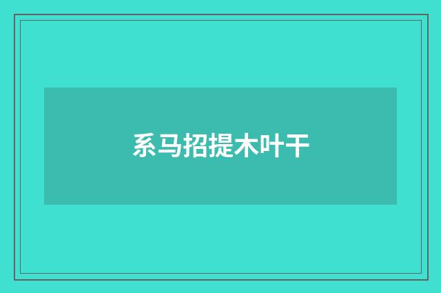 系马招提木叶干