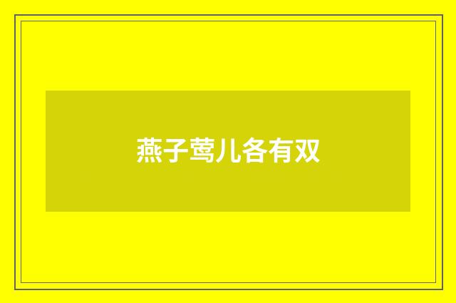 燕子莺儿各有双