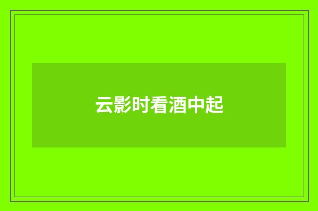 云影时看酒中起