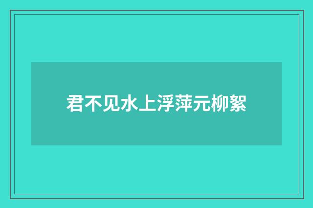 君不见水上浮萍元柳絮