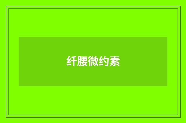 纤腰微约素